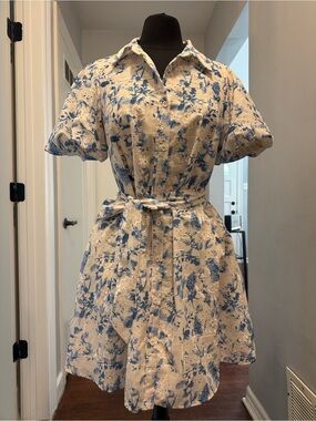 Sam Edelman Cream and Blue Floral Button-Up Mini Dress